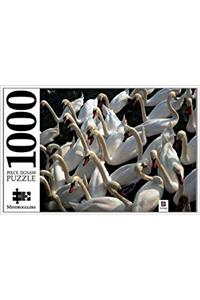 Swans 1000 Piece Jigsaw