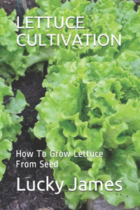 Lettuce Cultivation