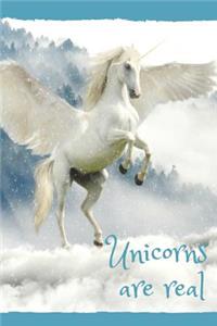 Unicorns Are Real