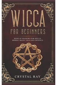 Wicca for Beginners