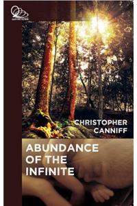 The Abundance of the Infinite