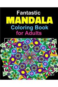 Fantastic Mandala Coloring Book for Adults, Seniors & Teens. Use for Relaxation and Enjoyment. Coloring Pages for Adults.