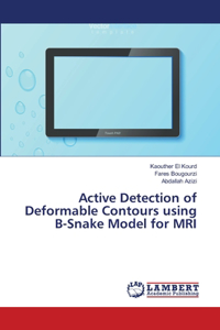 Active Detection of Deformable Contours using B-Snake Model for MRI
