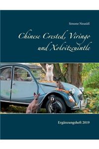 Chinese Crested, Viringo und Xoloitzcuintle II: Ergänzungsheft 2019