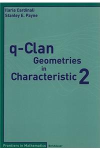 q-Clan Geometries in Characteristic 2