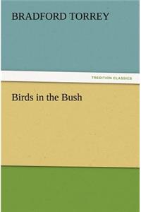 Birds in the Bush