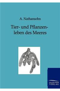 Tier- und Pflanzenleben des Meeres