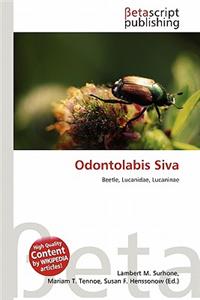 Odontolabis Siva