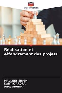 Réalisation et effondrement des projets