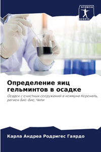 Определение яиц гельминтов в осадке