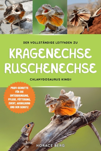 Vollständige Leitfaden Zu Kragenechse Rüschenechse