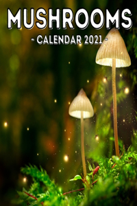 Mushrooms Calendar 2021: 16-Month Calendar, Cute Gift Idea For Mushroom Lovers Women & Men