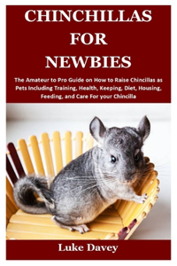 Chinchillas for Newbies