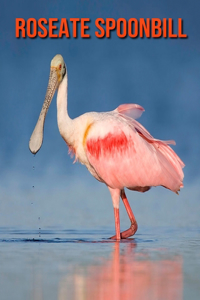 Roseate Spoonbill