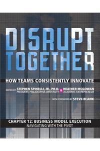 Business Model Execution - Navigating with the Pivot (Chapter 12 from Disrupt Together)