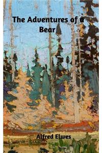 The Adventures of a Bear