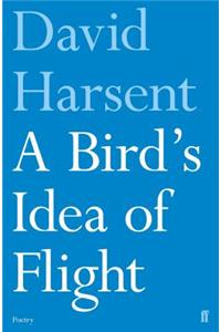 A Bird's Idea of Flight