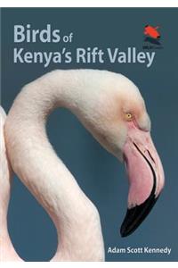 Birds of Kenya's Rift Valley