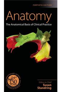 Gray's Anatomy E-Book