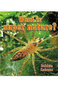 What Is Super Nature?