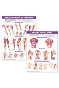 Trigger Point Chart Set: Torso & Extremities Lam