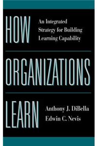 How Organizations Learn
