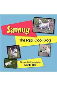 Sammy; The Real Cool Dog