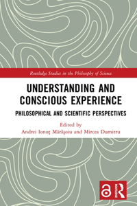 Understanding and Conscious Experience