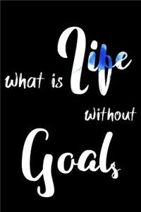 What is life without goals