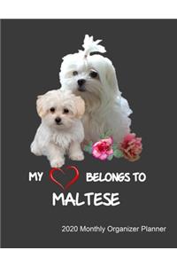 My Heart Belongs To Maltese 2020 Monthly Organizer Planner