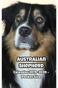 Australian Shepherd Calendar 2019-2020 - Pocket Size