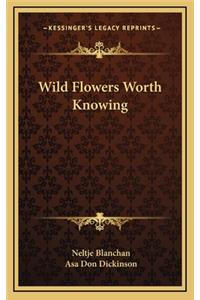 Wild Flowers Worth Knowing