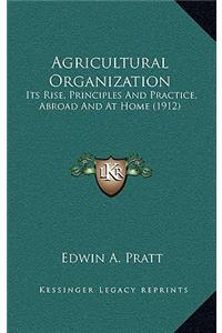 Agricultural Organization: Its Rise, Principles and Practice, Abroad and at Home (1912)