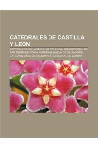 Catedrales de Castilla y Leon