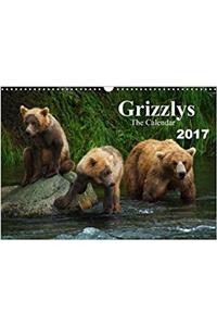 Grizzlys - The Calendar UK-Version 2017