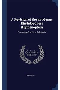 A Revision of the ant Genus Rhytidoponera (Hymenoptera
