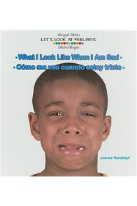 What I Look Like When I Am Sad / Cómo Me Veo Cuando Estoy Triste