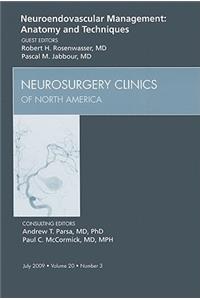 Neuroendovascular Management: Anatomy and Techniques, an Issue of Neurosurgery Clinics