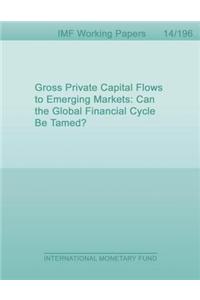 Gross Private Capital Flows to Emerging Markets