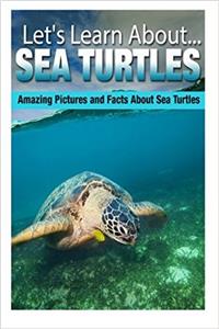 Sea Turtles (Lets Learn About)