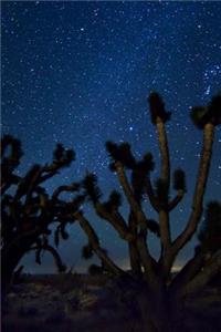 Tree Silhouetted Against a Night Sky Journal