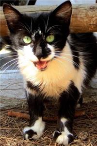 Adorable Meowing Black and White Kitty Cat Pet Journal