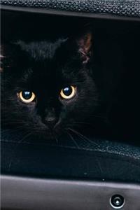 Portrait of a Beautiful Black Cat with Glowing Golden Eyes Pet Journal