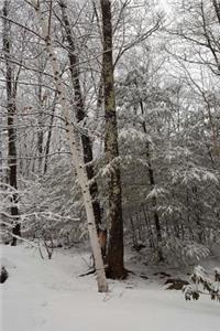 Journal Scenic Winter Weather White Birch Tree