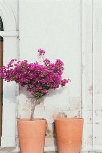 Rustic Terracotta Pots, a Flowering Plant, and Cobblestones Journal