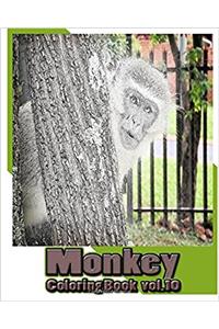 Monkey