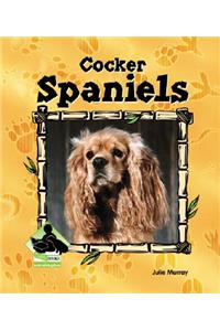 Cocker Spaniels
