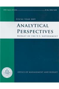 Analytical Perspectives