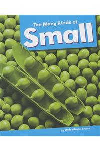 Many Kinds of Small