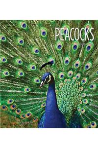 Peacocks